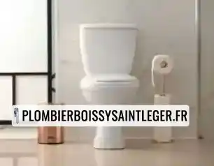 Remplacement de wc Boissy-Saint-Léger