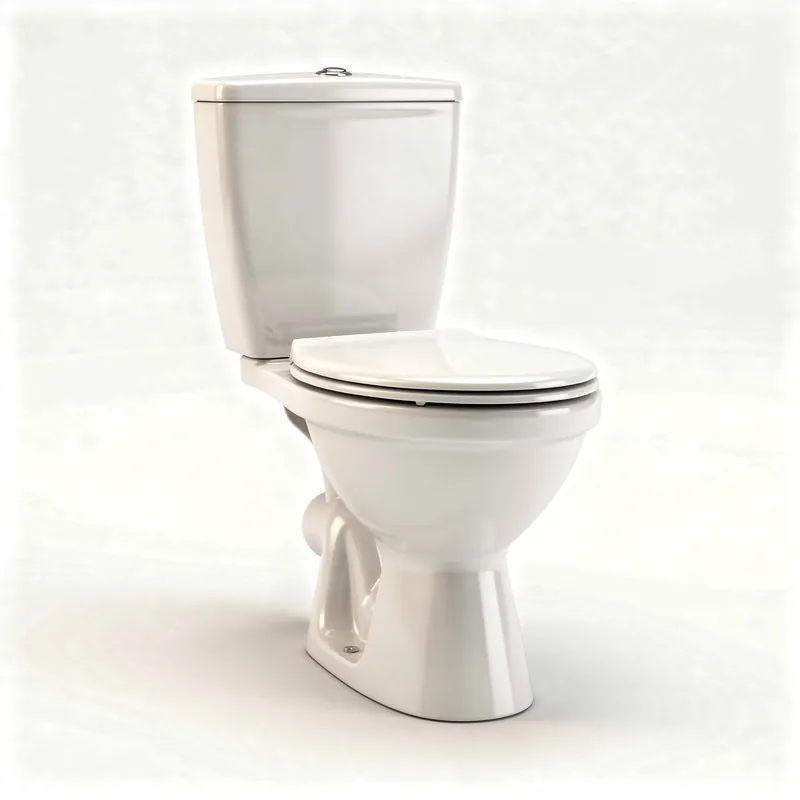 Remplacement de WC Boissy-Saint-Léger